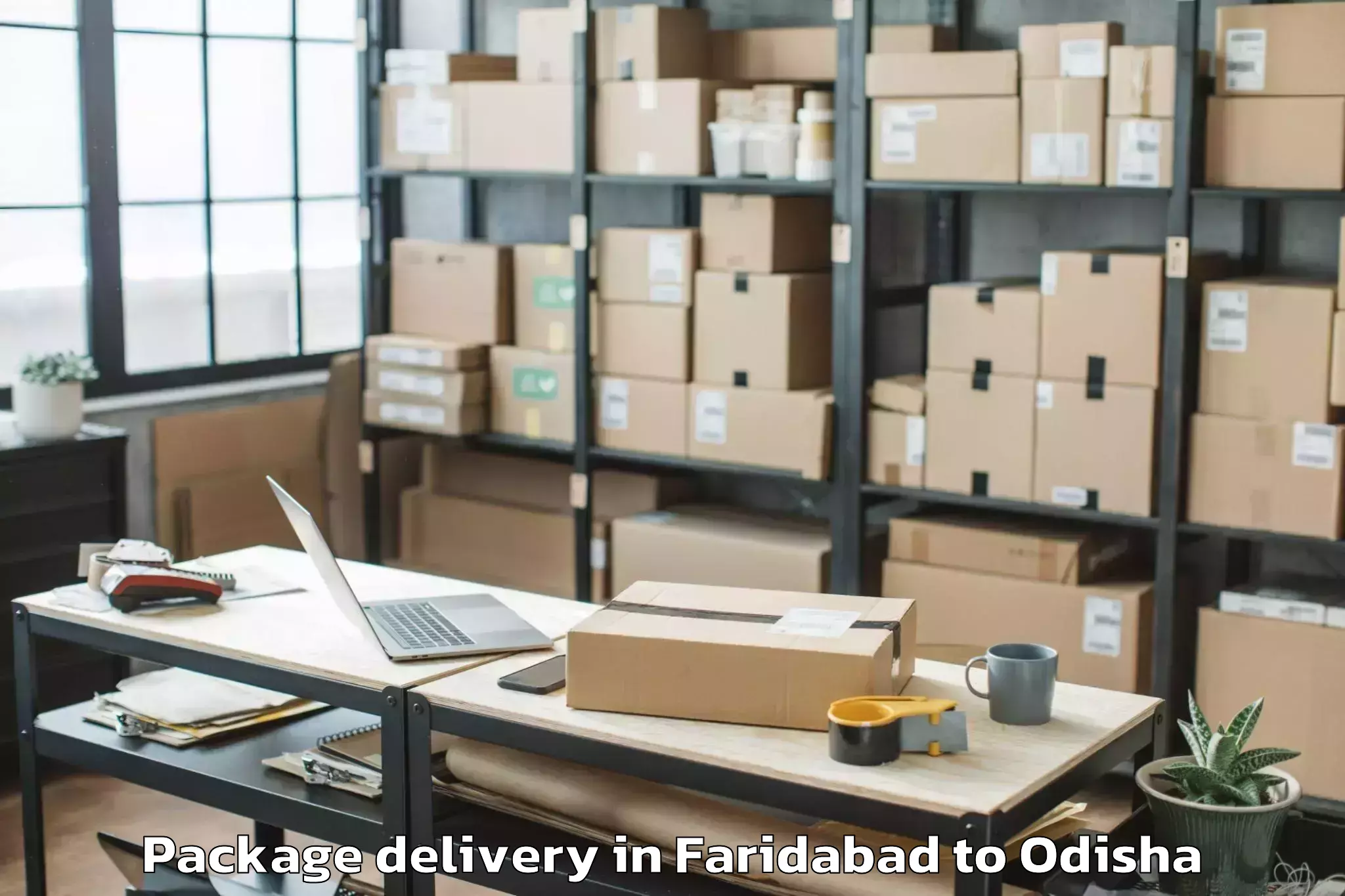 Trusted Faridabad to Sambalpur University Burla Package Delivery